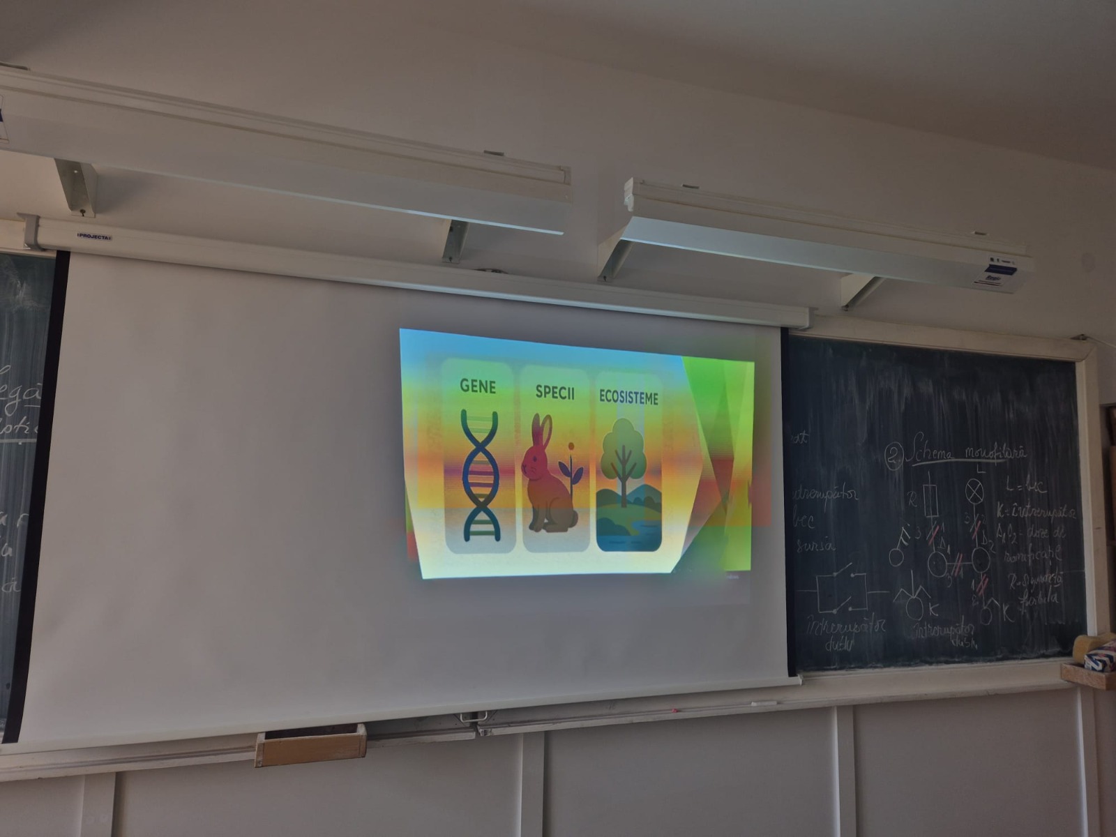Activitate competențe verzi 4